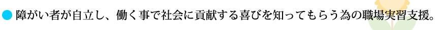 障がい者が自立し、働く事で社会に貢献する喜びを知ってもらう為の職場実習支援。