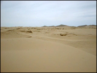 �Ή��O�̍����@2000�N