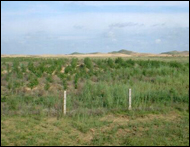 �Ή���A1�N�o�߁@2001�N