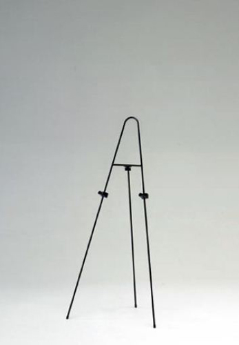 ESP-001 �C���[�W