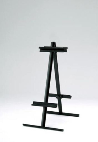 ESP-016 �C���[�W