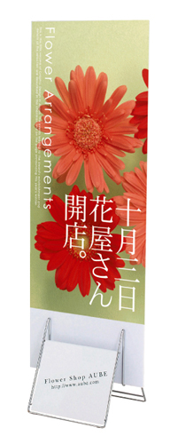 P247-2 �C���[�W