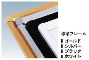 �p�l���J���[