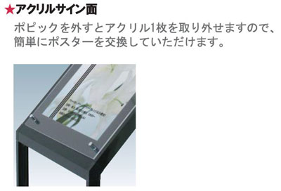 �A�N�����T�C����