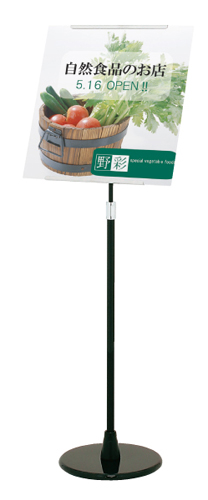 SXS-48 �C���[�W